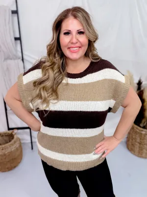 Multi Colored Brown Striped Pattern Knit Short Sleeve Sweater