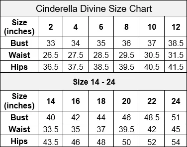 Sequin Floral Print Ball Gown by Cinderella Divine CB073
